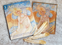 bundle-av-book-feather